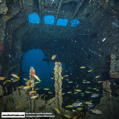 Clarke Wreck inside